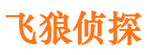 仲巴市私家侦探